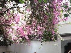 -人民公园(罗湖区)