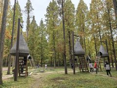 -黄海国家森林公园