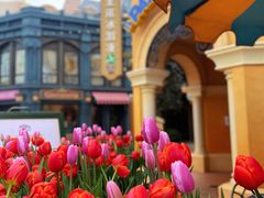 -上海迪士尼度假区