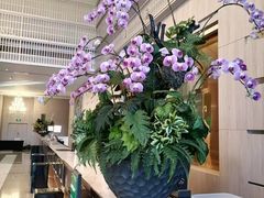 -上海虹桥西郊假日酒店