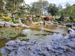 -东莞植物园