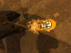 -兵魂·室内真人CS枪战俱乐部·团建·军事轰趴馆