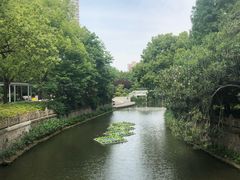 -兰溪青年公园