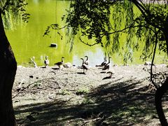 -北京麋鹿生态实验中心