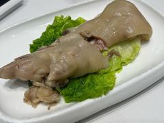 -丁老爷子苏香圆