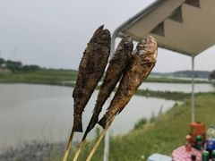 -梁子湖东篱老屋生态庄园