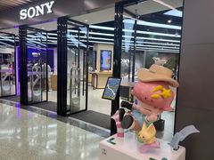 -Sony Store索尼(广州正佳店)
