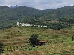 -牙胡梯田