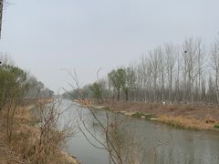 -东郊湿地公园