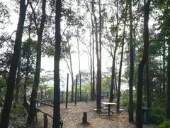 -滴水岩森林公园
