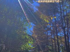 -洛阳白云山景区