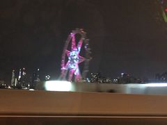 -墨尔本之星 观景摩天轮