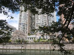 -成都市活水公园