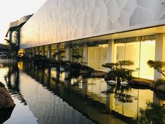 -罗红摄影艺术馆