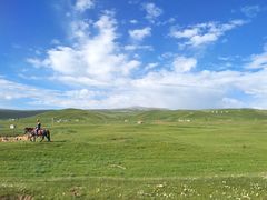 -青海湖国家重点风景名胜区