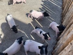 -水上乐园·欢乐世界