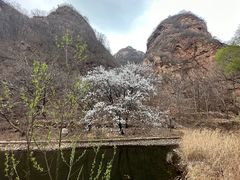 -湖洞水自然风景区