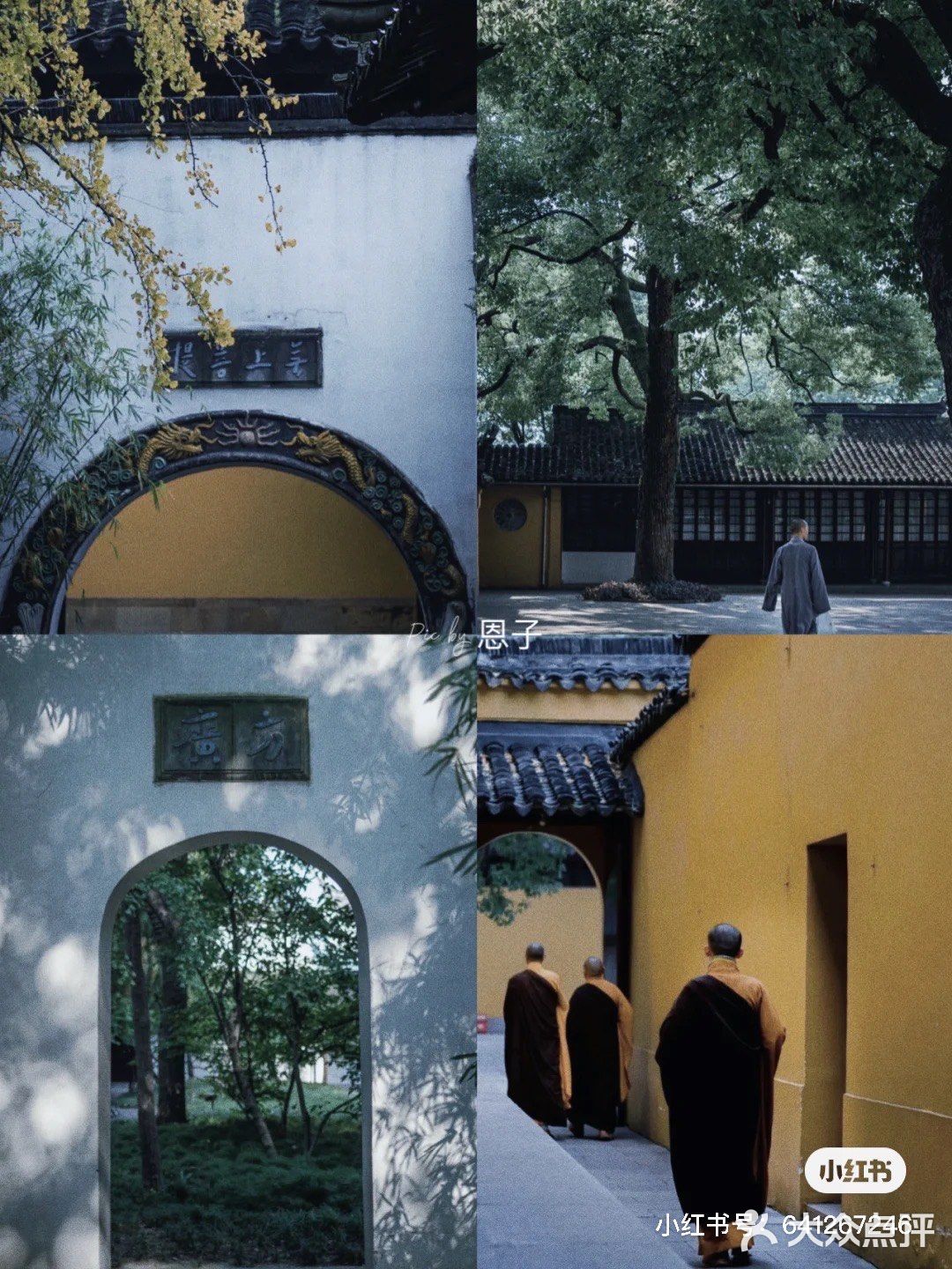 苏州｜入夏需静心，来西园寺抄经吃素禅修