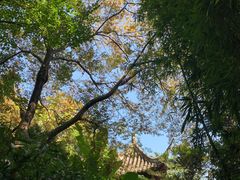 -秋霞圃