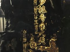 -禅宗少林·音乐大典