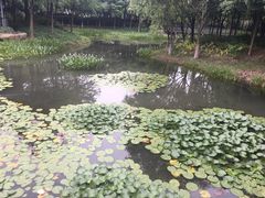 -尚贤河湿地
