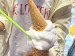 -Vola Gelato意大利手工冰淇淋(朝阳大悦城店)