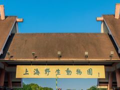 -上海野生动物园