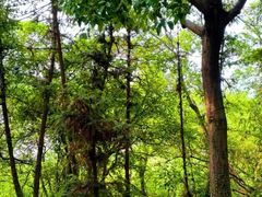 -万达影城(太仓IMAX激光店)