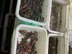 -胖姐海鲜烧烤大排档(青石桥中街店)
