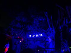 -温州乐园