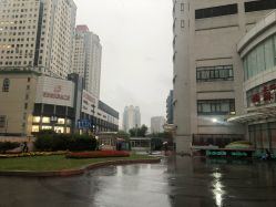 -中国福利会国际和平妇幼保健院(徐汇院区)