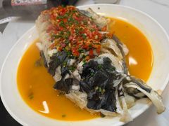-全乐鱼馆·淳牌有机鱼直营店