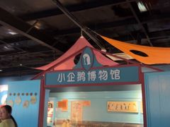 -海合安武汉极地海洋公园