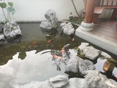 -道南書院·私房菜·早午茶·茶馆