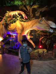 -恐龙探索乐园(磁器口店)