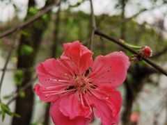 -重庆彩云湖湿地公园