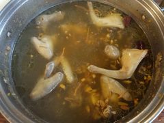 -百利鸽王(紫薇路店)
