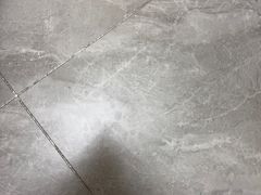 -德元·美联众合24小时动物医院(总院)