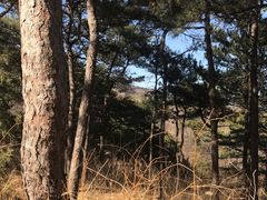 -北京西山国家森林公园