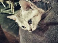 -MIKAKU(万达广场上海宝山店)