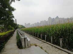 -江心屿景区