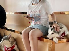 -Husky Go! 哈士奇体验馆·宠物咖啡厅狗咖