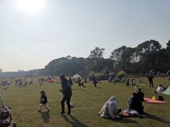 -昆山城市生态森林公园