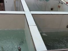 -贡椒鱼老店·雅安十大名店