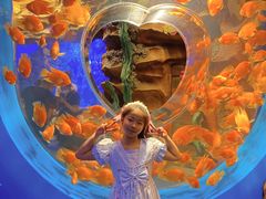 -芜湖新华联大白鲸海洋公园