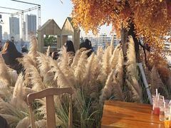 -Blue Concept Cafe&Farm·關於藍