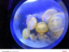 -珠海长隆海洋王国