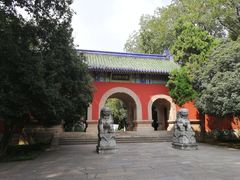 -灵谷景区