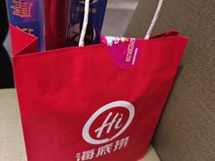 -海底捞火锅(公益西桥店)