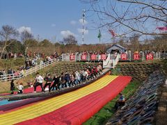 -武汉紫薇都市田园